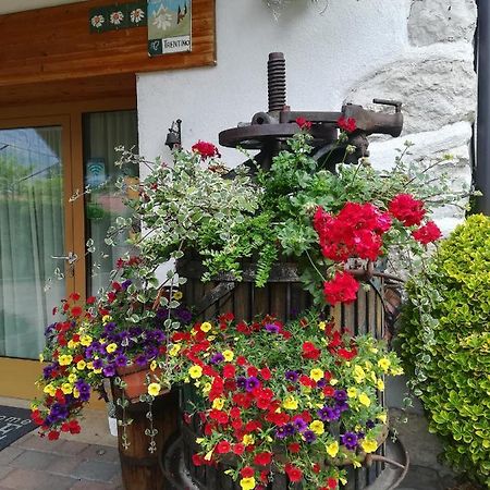 Agriturismo La Decima Guest House Trento Exterior photo