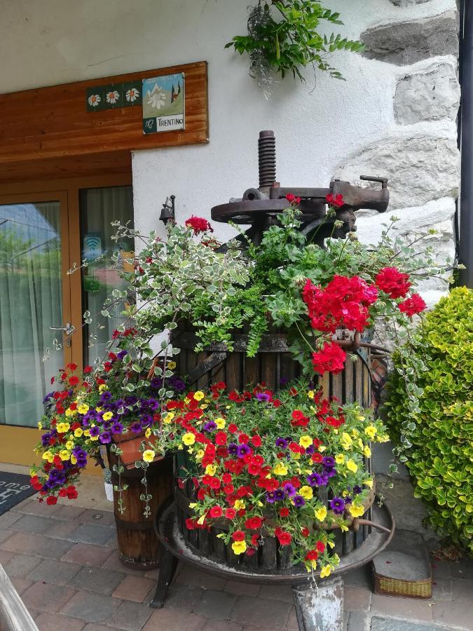 Agriturismo La Decima Guest House Trento Exterior photo